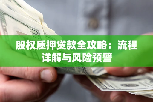 北京股权质押贷款全攻略：流程详解与风险预警