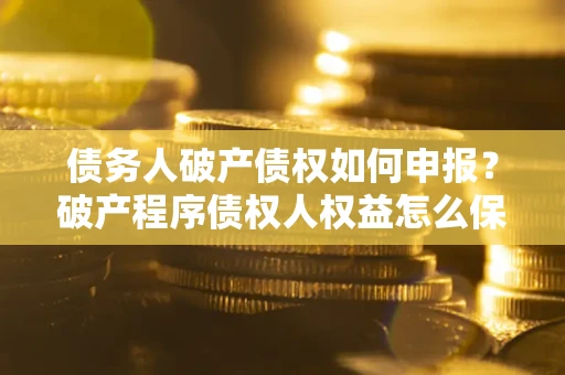 北京债务人破产债权如何申报？破产程序债权人权益怎么保障？