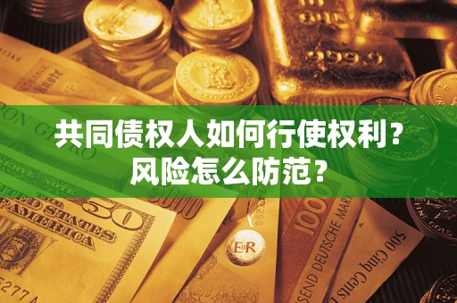 北京共同债权人如何行使权利？风险怎么防范？