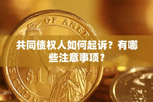 北京共同债权人如何起诉？有哪些注意事项？